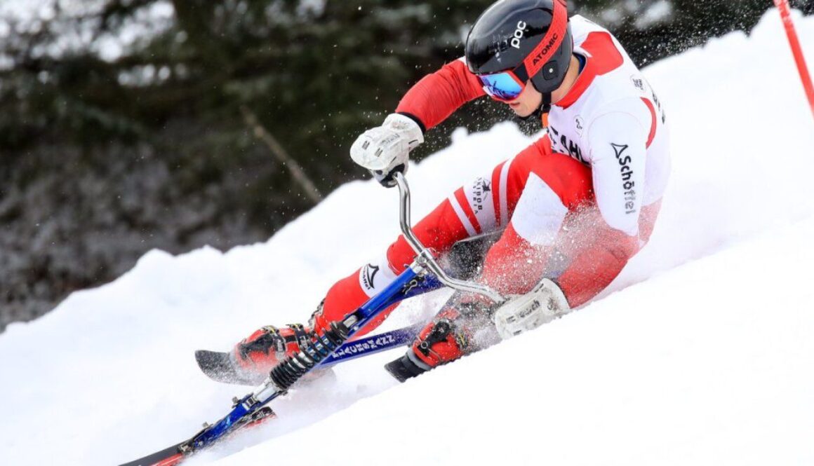 Skibob-Vorstellung
