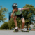 rollsport